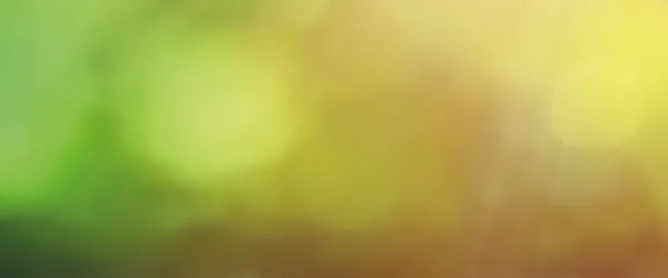 /assets/banner1-20ae1b3a.webp