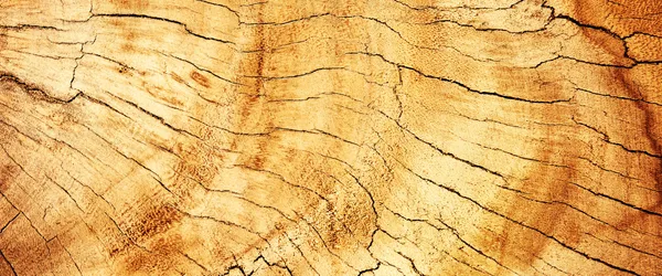 /assets/woodtexture3-191bb2d0.webp